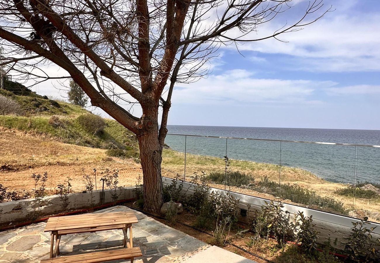 Villa in Pachyammos - Villa Akroyiali | Seafront Serenity