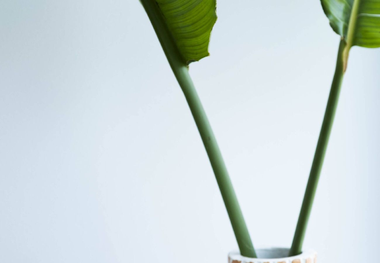 Villa in Protaras - Villa Orchard · Design Retreat with Private Pool