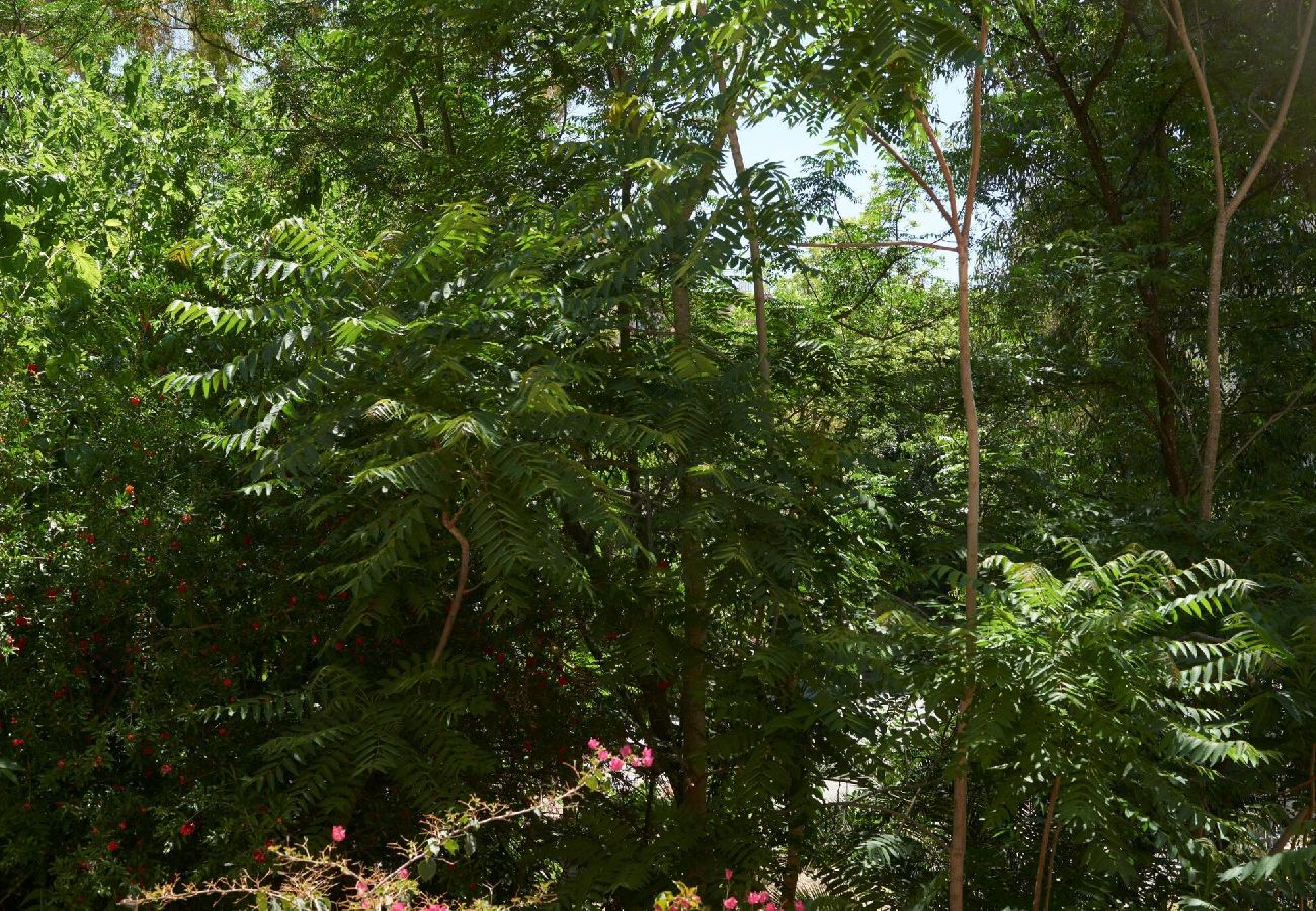 Apartment in Nicosia - Beautifully restored mid-century modern property 