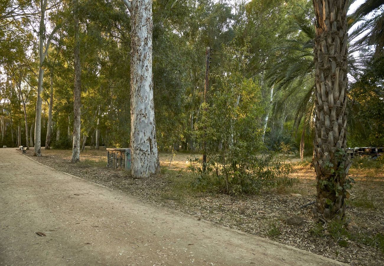 Apartment in Nicosia - Beautifully restored mid-century modern property 