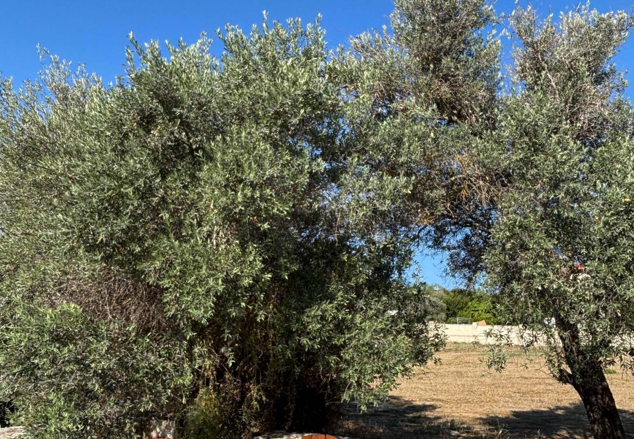 House in Paphos - Soumaki - A Serene Countryside Hideaway 