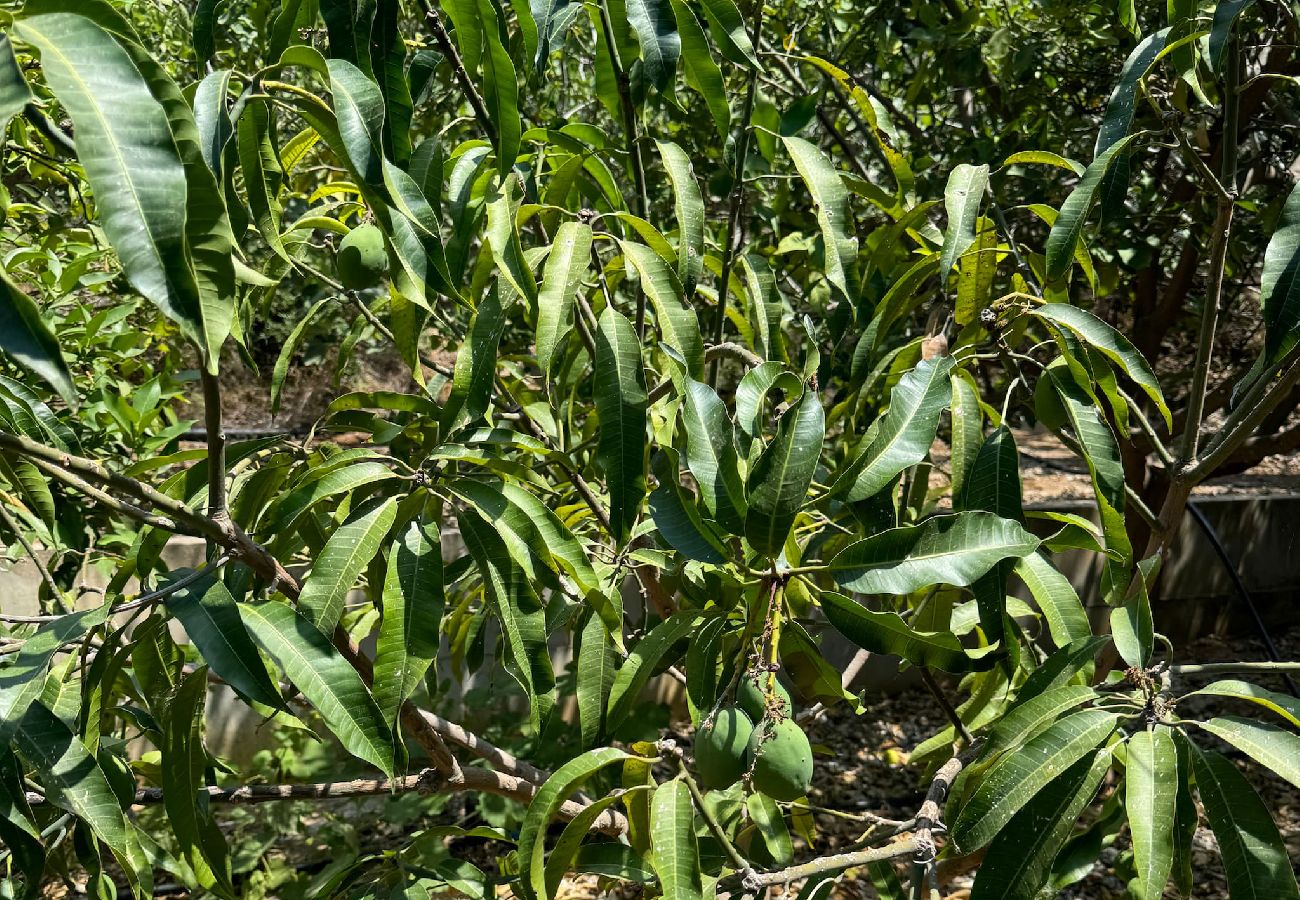 House in Pomos - Pomos Villa — Stunning Views / Private Beach / Secluded