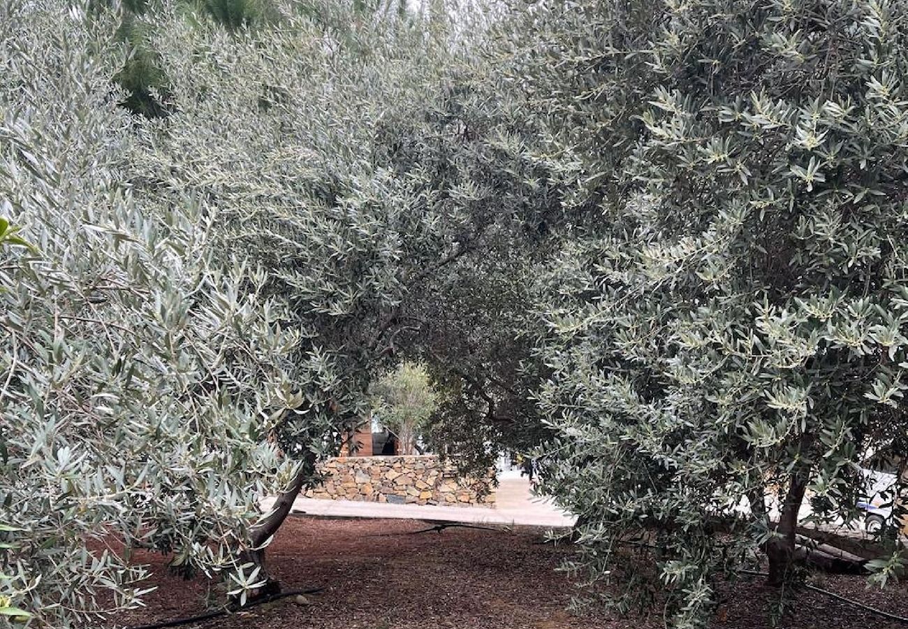 House in Pomos - Pomos Villa — Stunning Views / Private Beach / Secluded