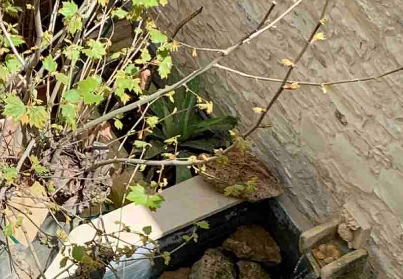 House in Larnaca - place of grace